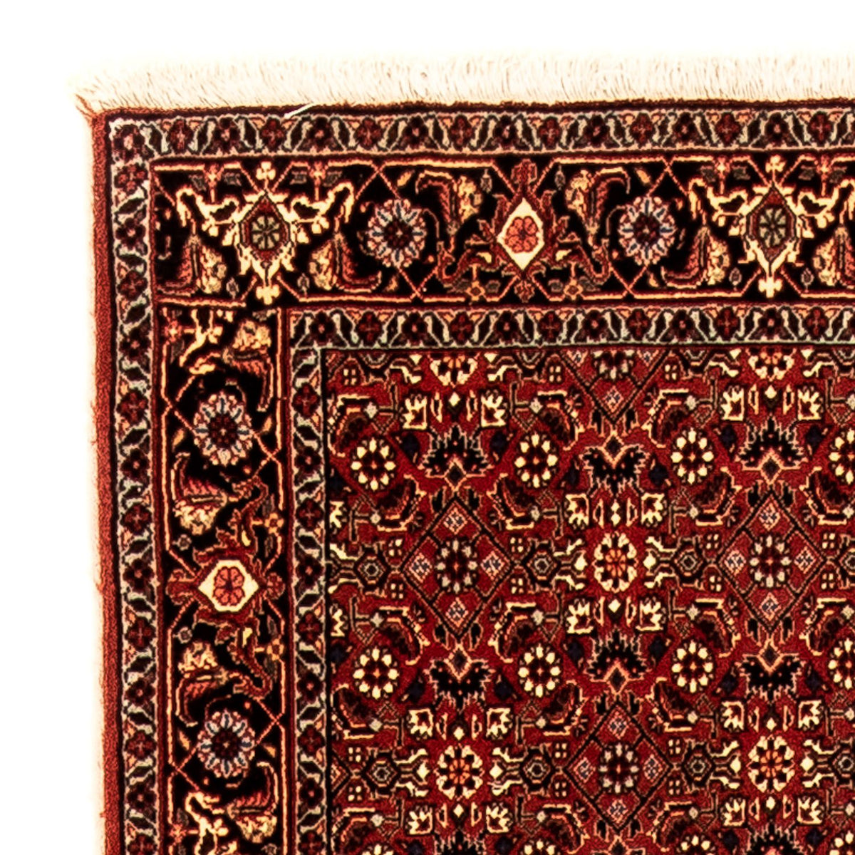 Tappeto corsia Tappeto Persero - Bidjar - 296 x 81 cm - multicolore