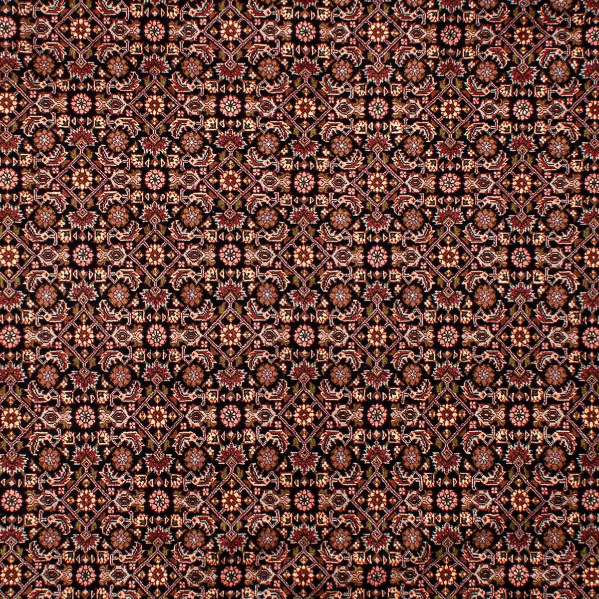Tappeto Persero - Bidjar - 292 x 199 cm - blu scuro