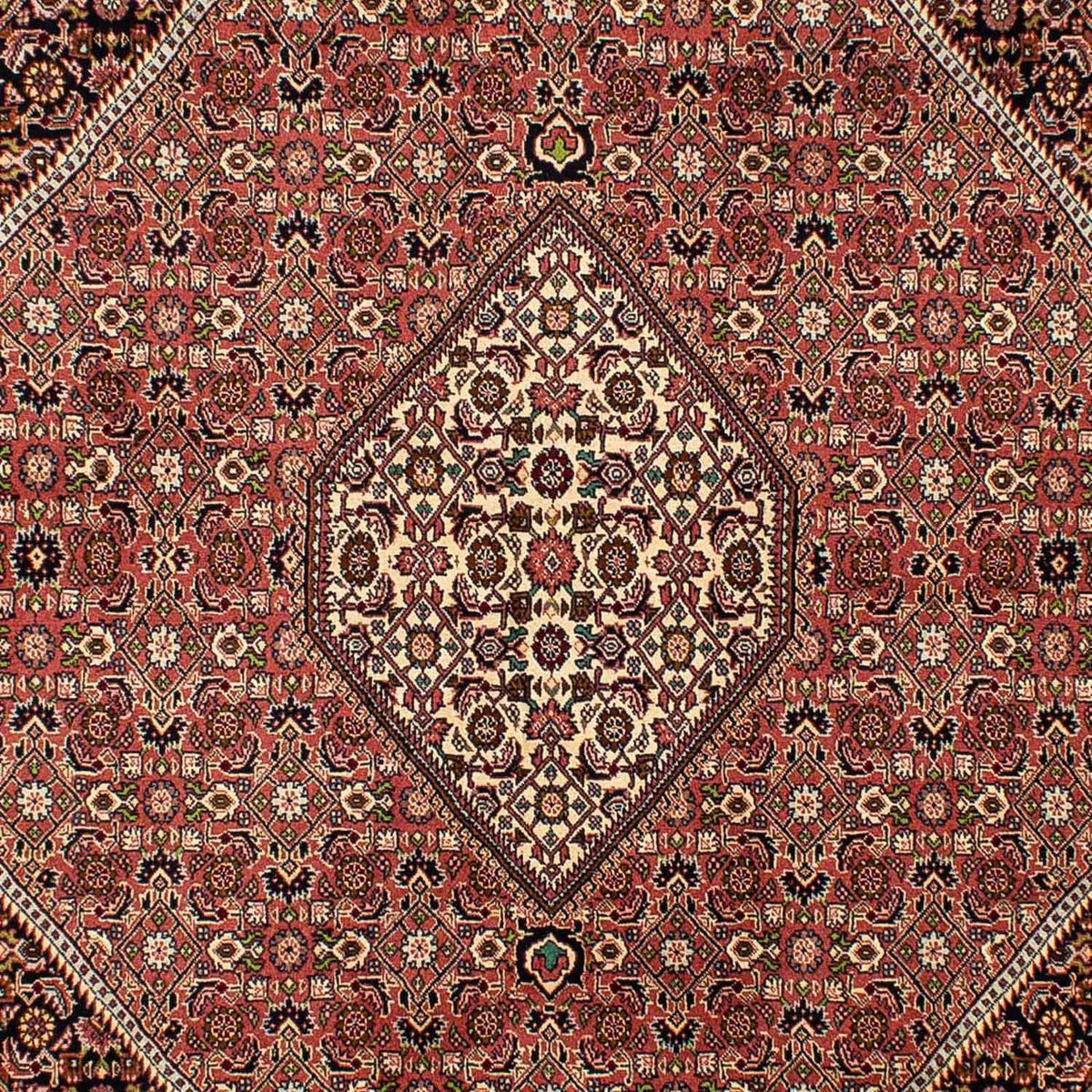 Tappeto Persero - Bidjar - 290 x 200 cm - rosso chiaro