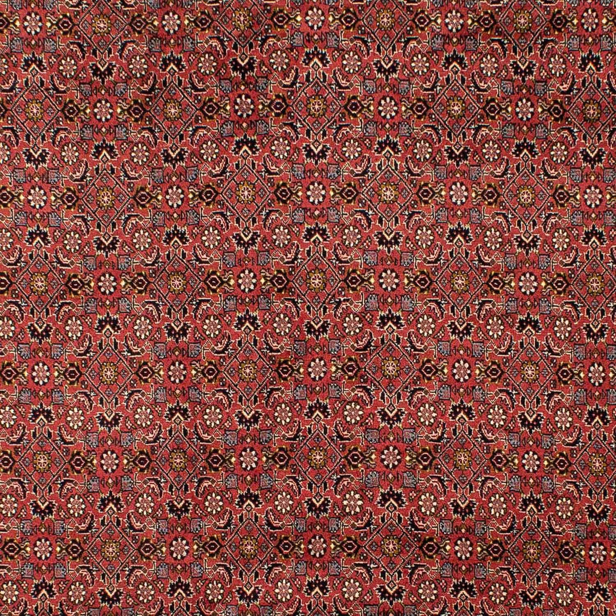 Tappeto Persero - Bidjar - 293 x 206 cm - rosso scuro