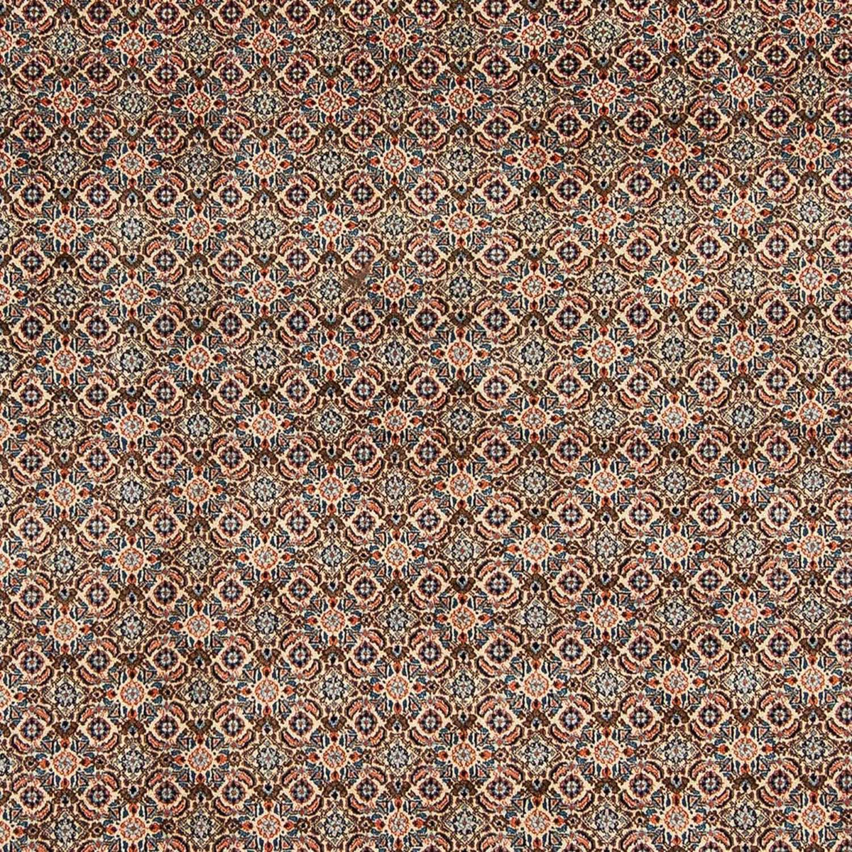 Tappeto Persero - Classico - 303 x 204 cm - beige