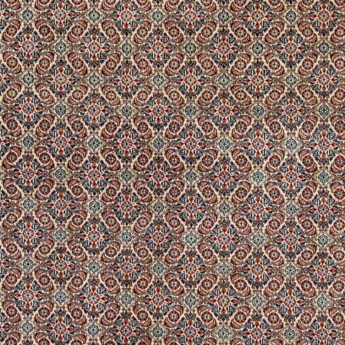Tappeto Persero - Classico - 304 x 210 cm - beige