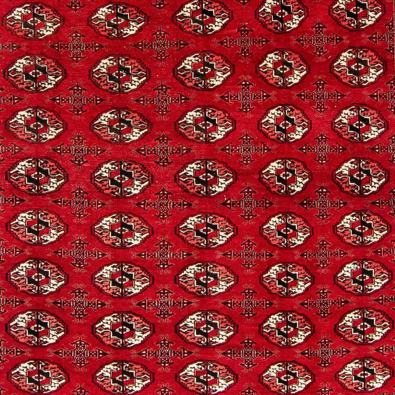 Tappeto Turkaman - 368 x 248 cm - rosso scuro