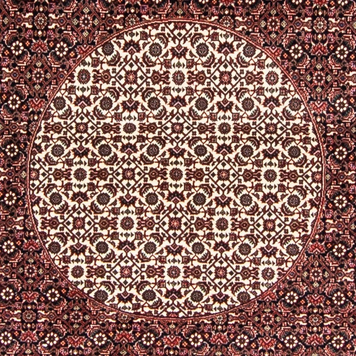 Tappeto Persero - Bidjar rotondo  - 247 x 247 cm - rosso scuro