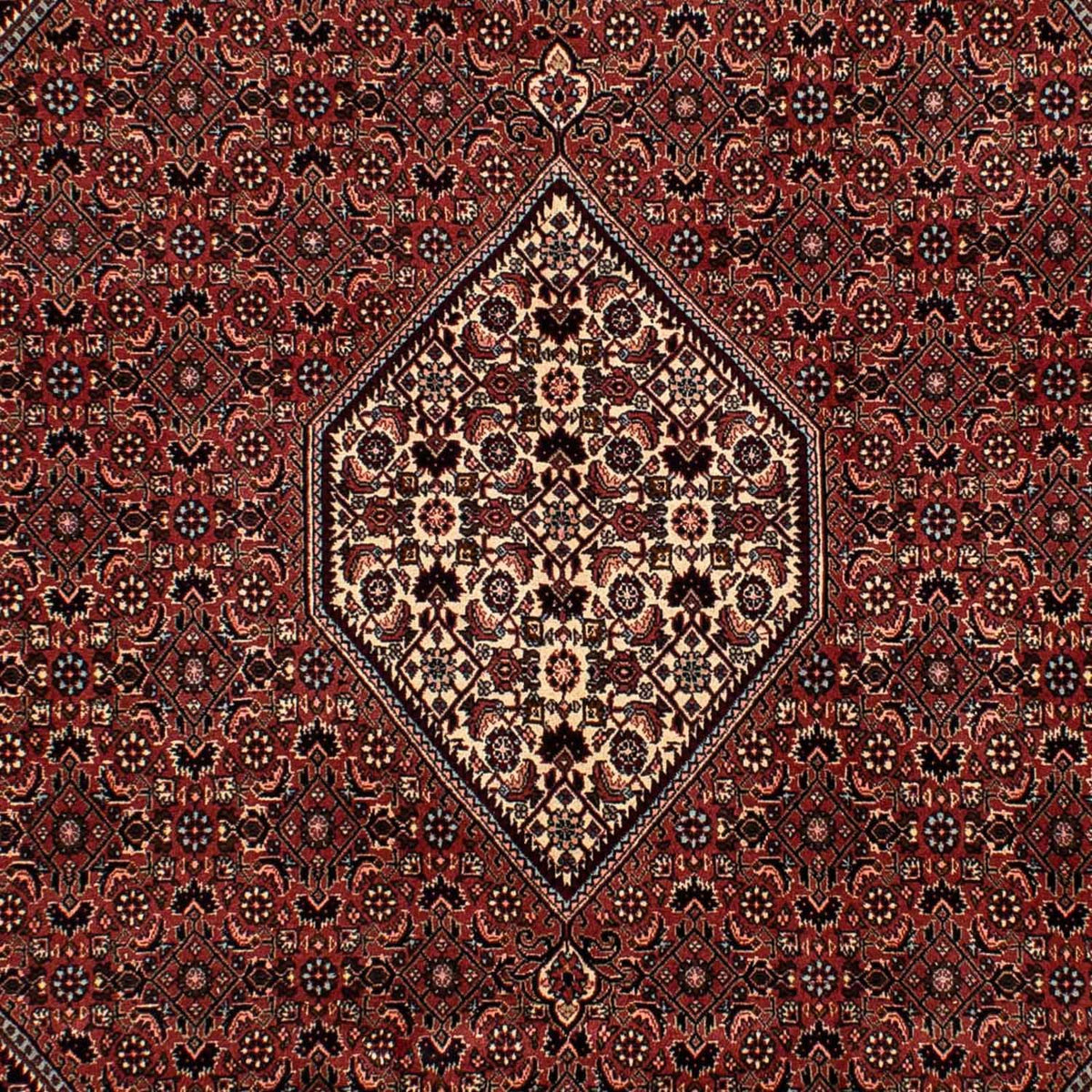 Tappeto Persero - Bidjar - 302 x 198 cm - rosso scuro