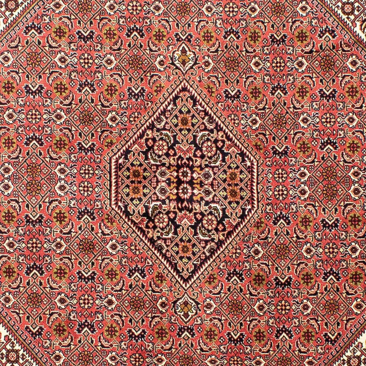 Tappeto Persero - Bidjar - 240 x 170 cm - rosso chiaro