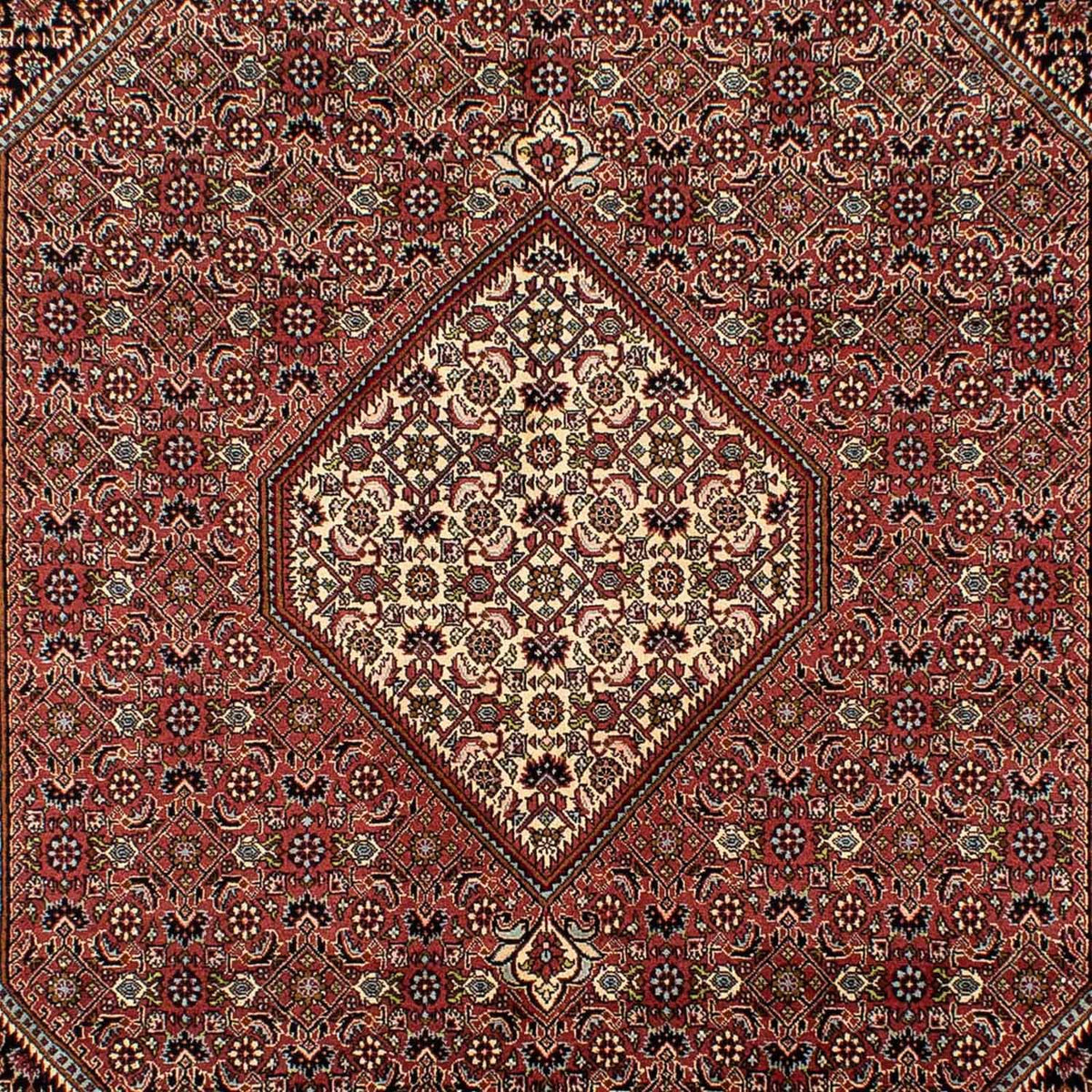 Tappeto Persero - Bidjar - 298 x 195 cm - marrone
