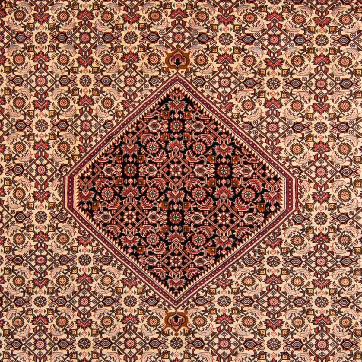 Tappeto Persero - Bidjar - 330 x 247 cm - rosso chiaro