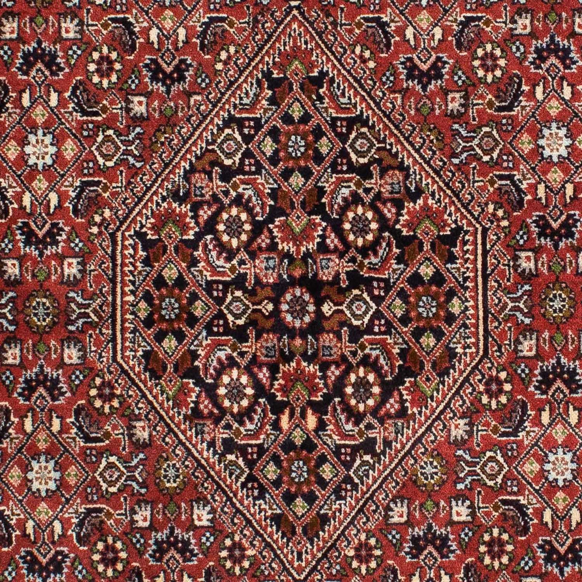 Tappeto Persero - Bidjar - 228 x 139 cm - rosso