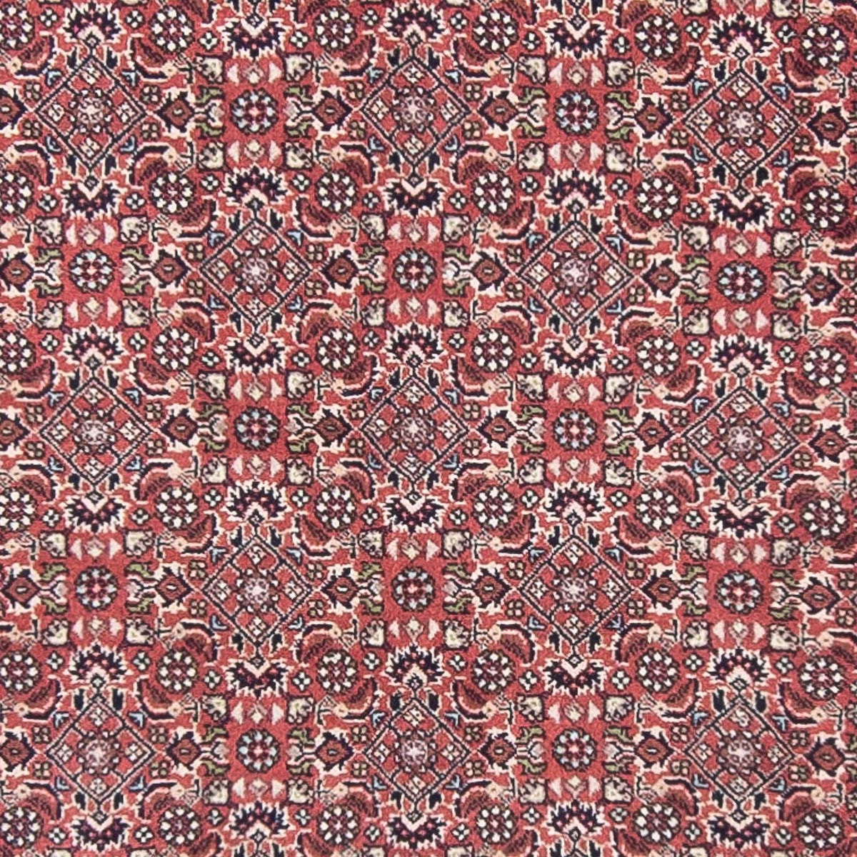 Tappeto corsia Tappeto Persero - Bidjar - 400 x 88 cm - rosso chiaro
