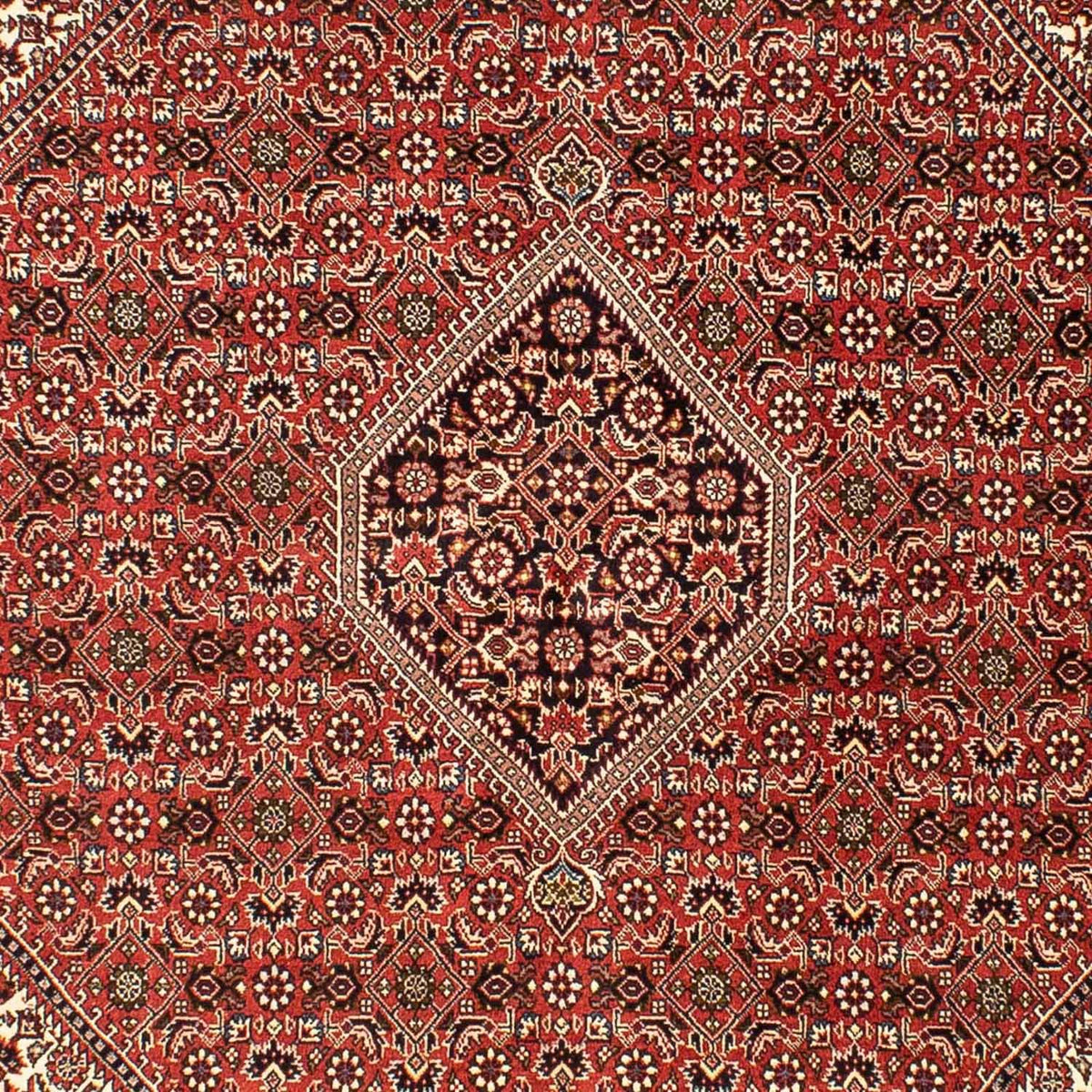 Tappeto Persero - Bidjar - 242 x 173 cm - rosso chiaro
