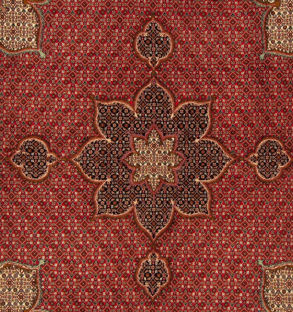 Tappeto Persero - Tabriz quadrato  - 203 x 200 cm - rosso