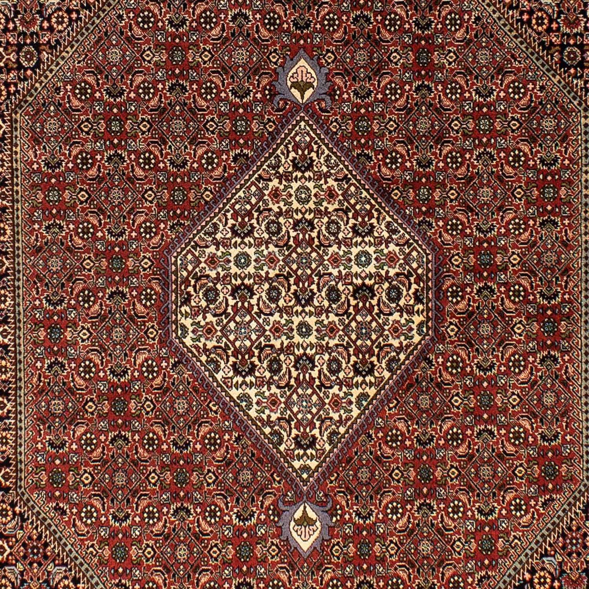 Tappeto Persero - Bidjar - 250 x 173 cm - marrone