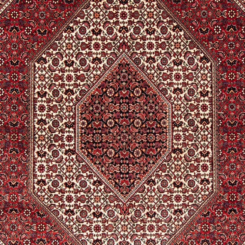 Tappeto Persero - Bidjar - 242 x 170 cm - rosso