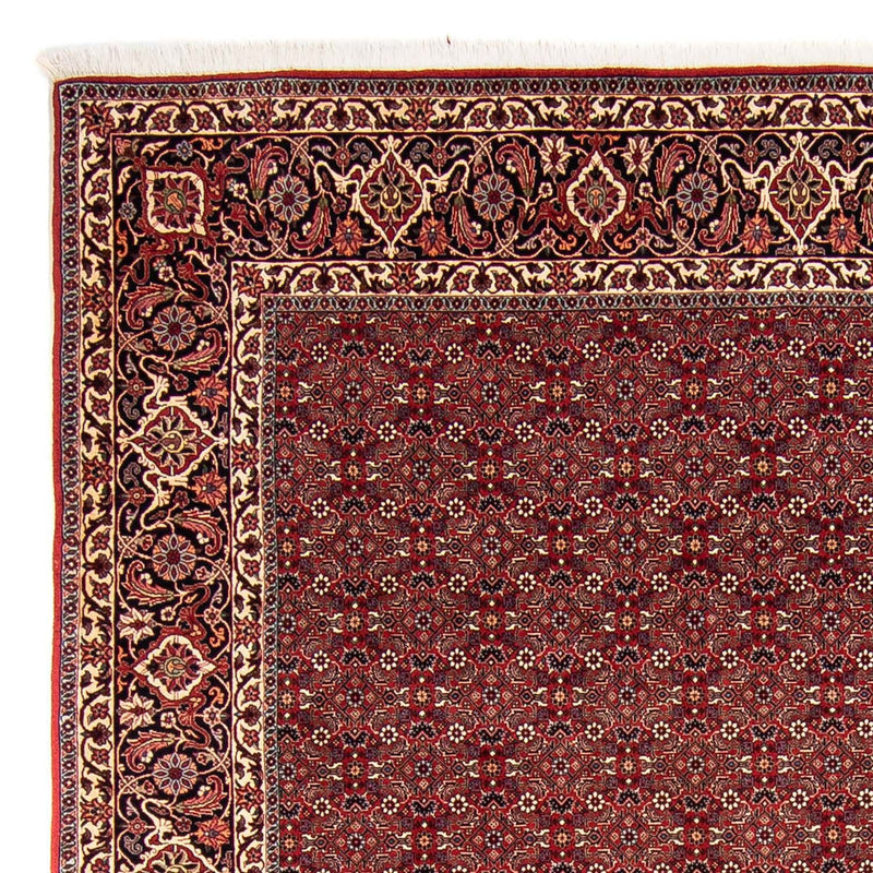 Tappeto Persero - Bidjar - 288 x 256 cm - rosso scuro