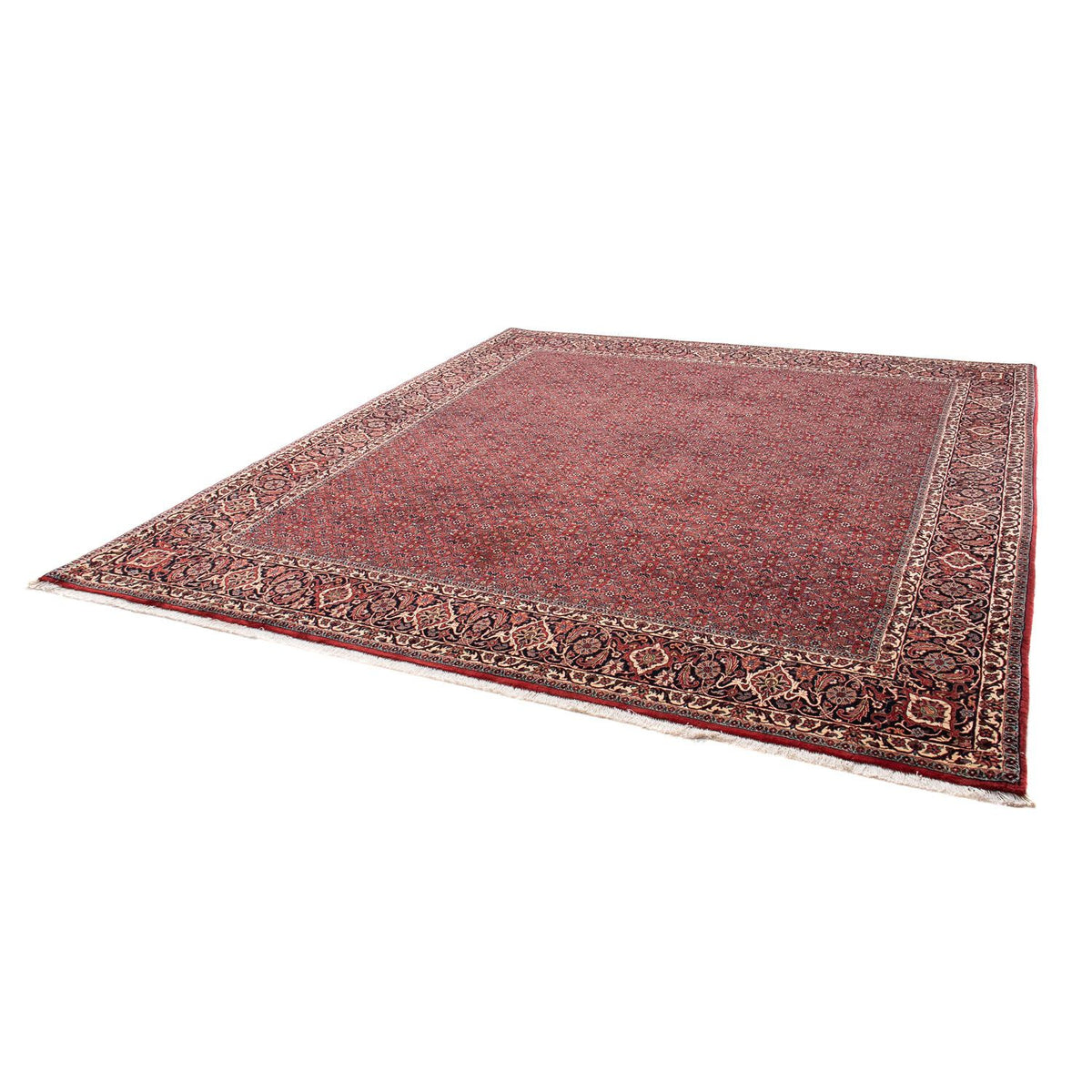 Tappeto Persero - Bidjar - 288 x 256 cm - rosso scuro