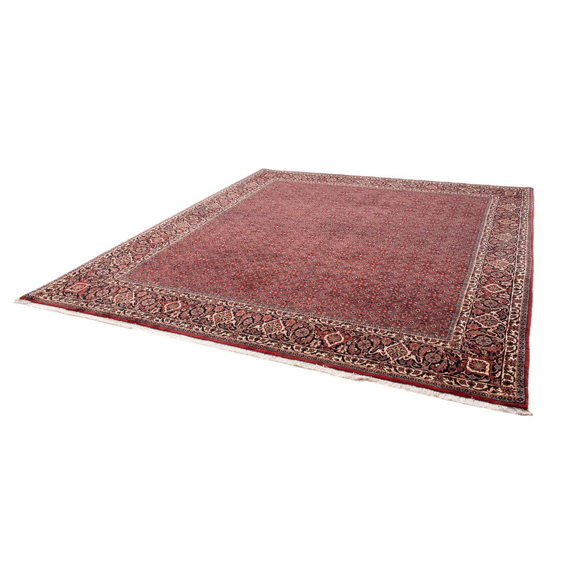 Tappeto Persero - Bidjar - 288 x 256 cm - rosso scuro