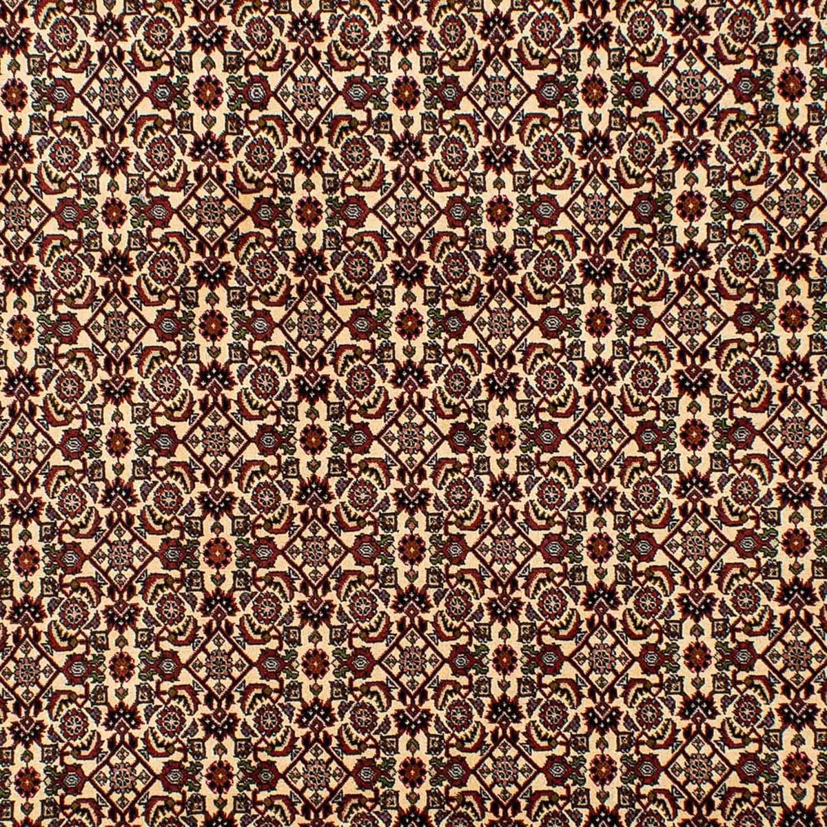 Tappeto Persero - Bidjar - 298 x 200 cm - beige