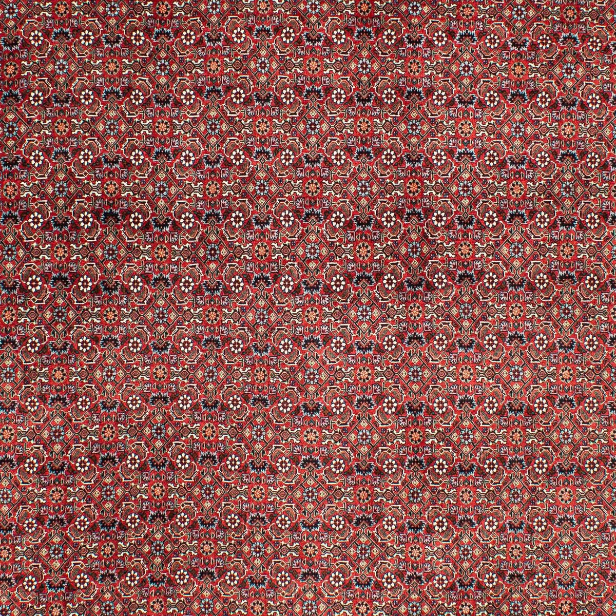 Tappeto Persero - Bidjar - 290 x 203 cm - rosso scuro