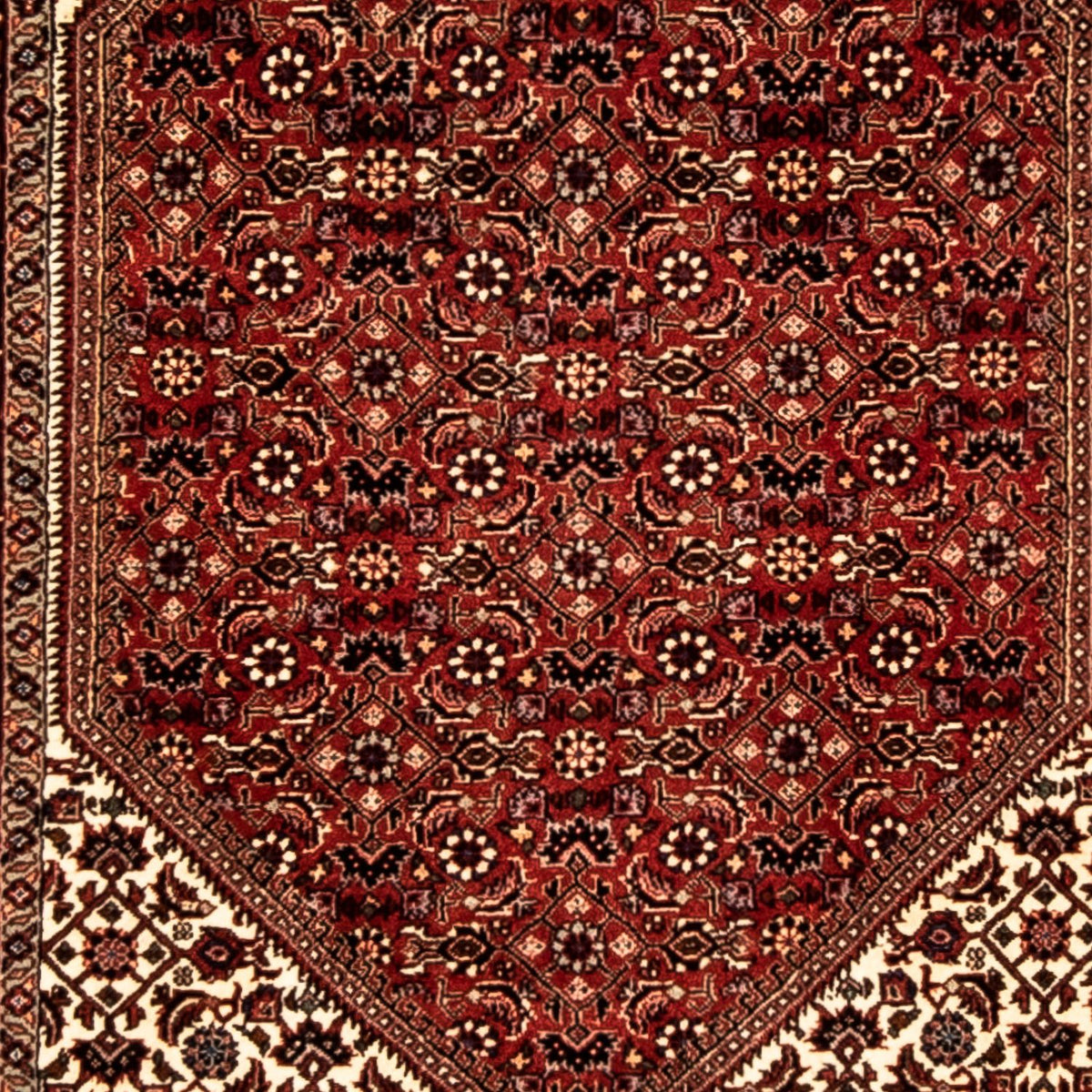 Tappeto corsia Tappeto Persero - Bidjar - 313 x 82 cm - multicolore