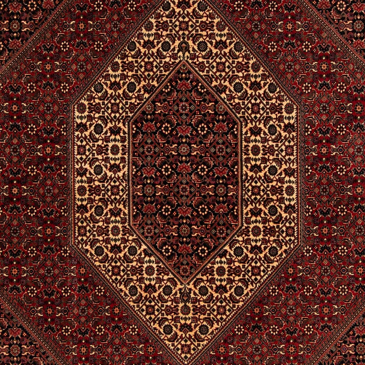Tappeto Persero - Bidjar - 248 x 200 cm - rosso scuro