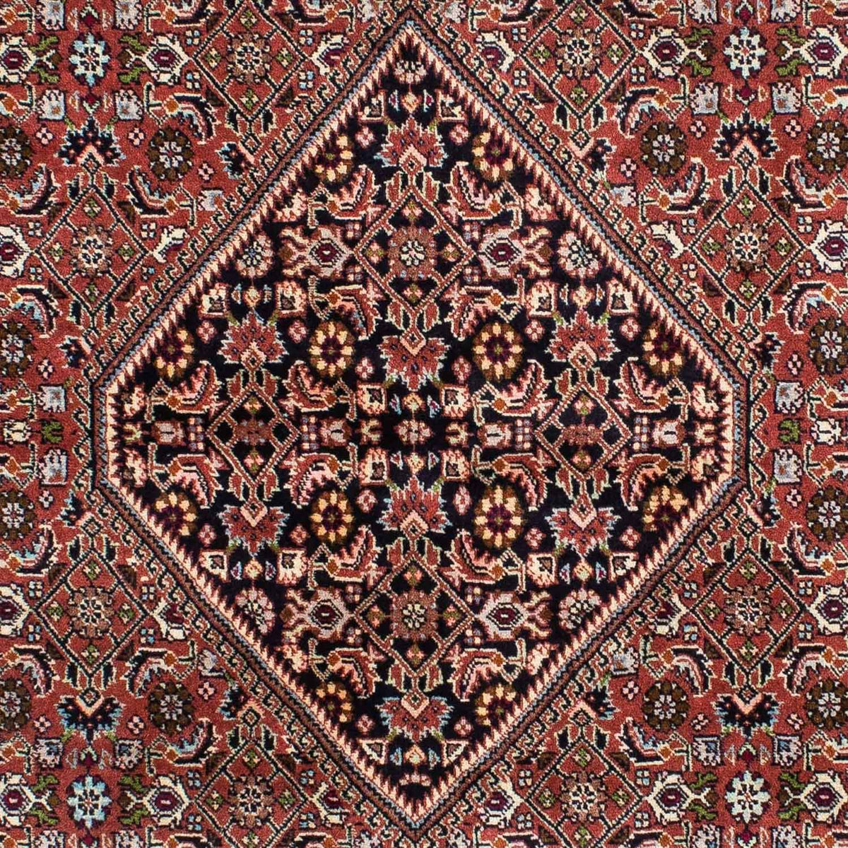 Tappeto Persero - Bidjar - 229 x 143 cm - rosso