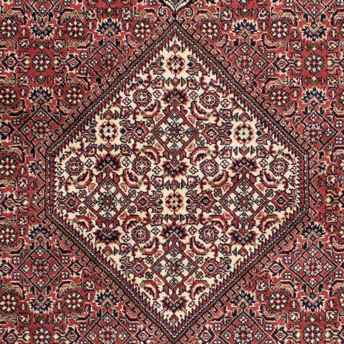 Tappeto Persero - Bidjar - 225 x 143 cm - rosso