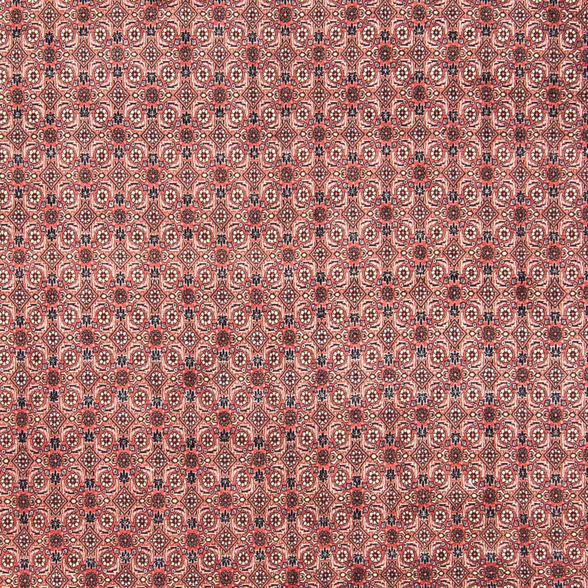Tappeto Persero - Bidjar - 308 x 254 cm - rosso chiaro
