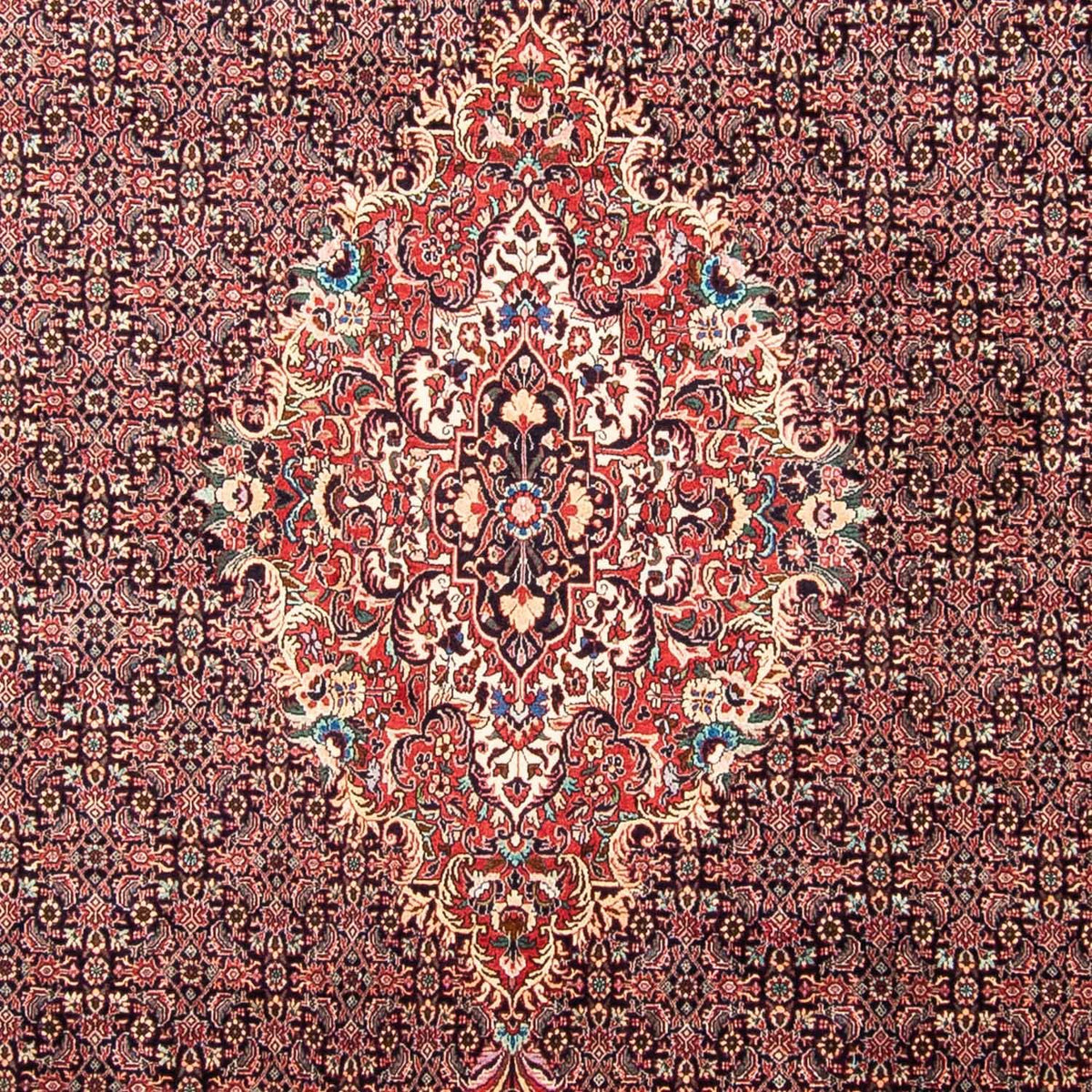 Tappeto Persero - Bidjar - 355 x 246 cm - rosso chiaro