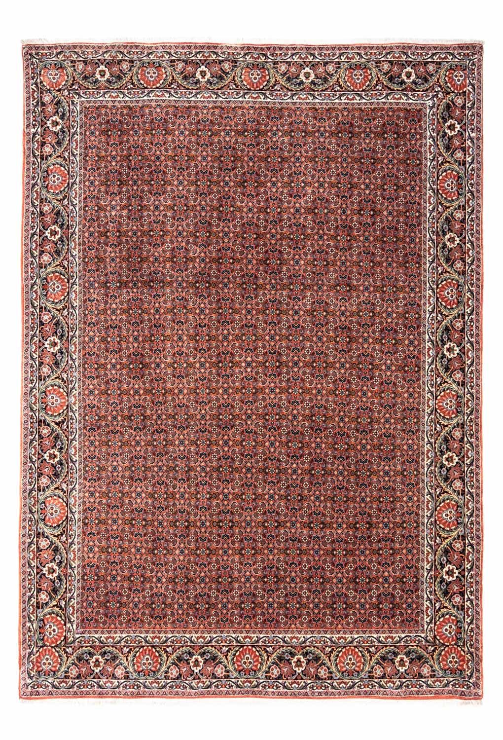 Tappeto Persero - Bidjar - 288 x 206 cm - rosso