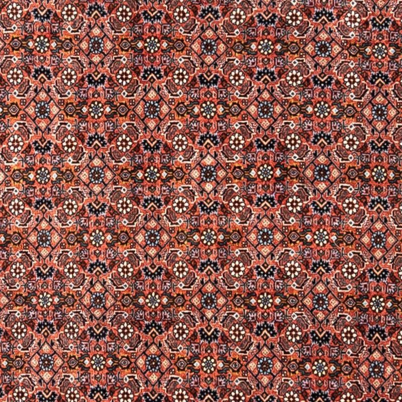 Tappeto Persero - Bidjar - 288 x 206 cm - rosso