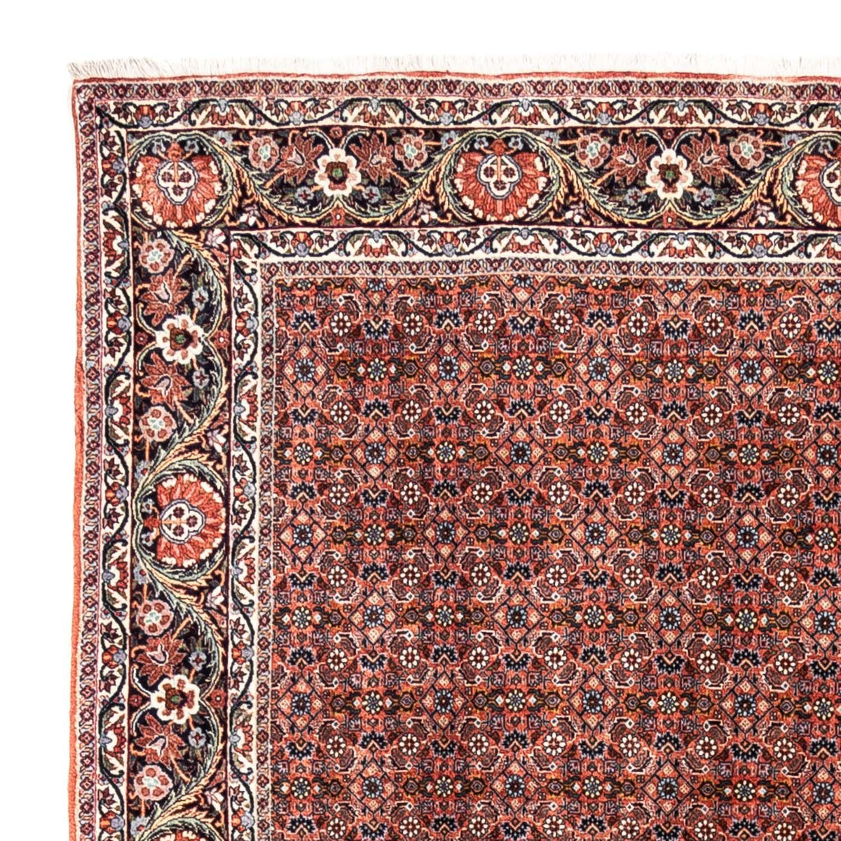 Tappeto Persero - Bidjar - 288 x 206 cm - rosso