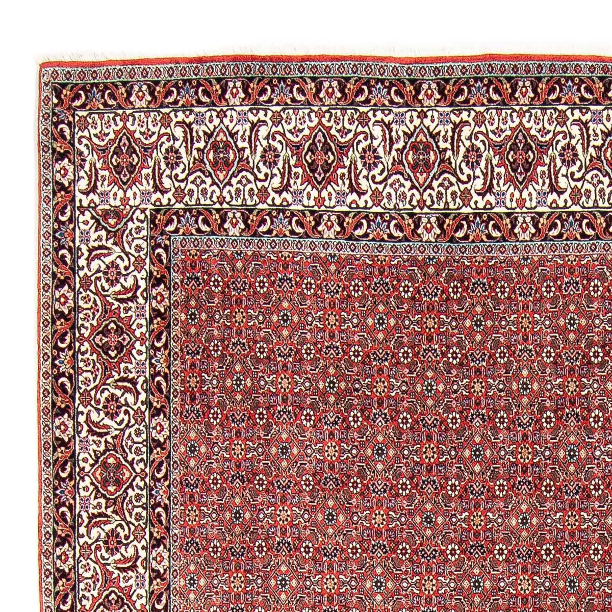 Tappeto Persero - Bidjar - 297 x 249 cm - rosso chiaro