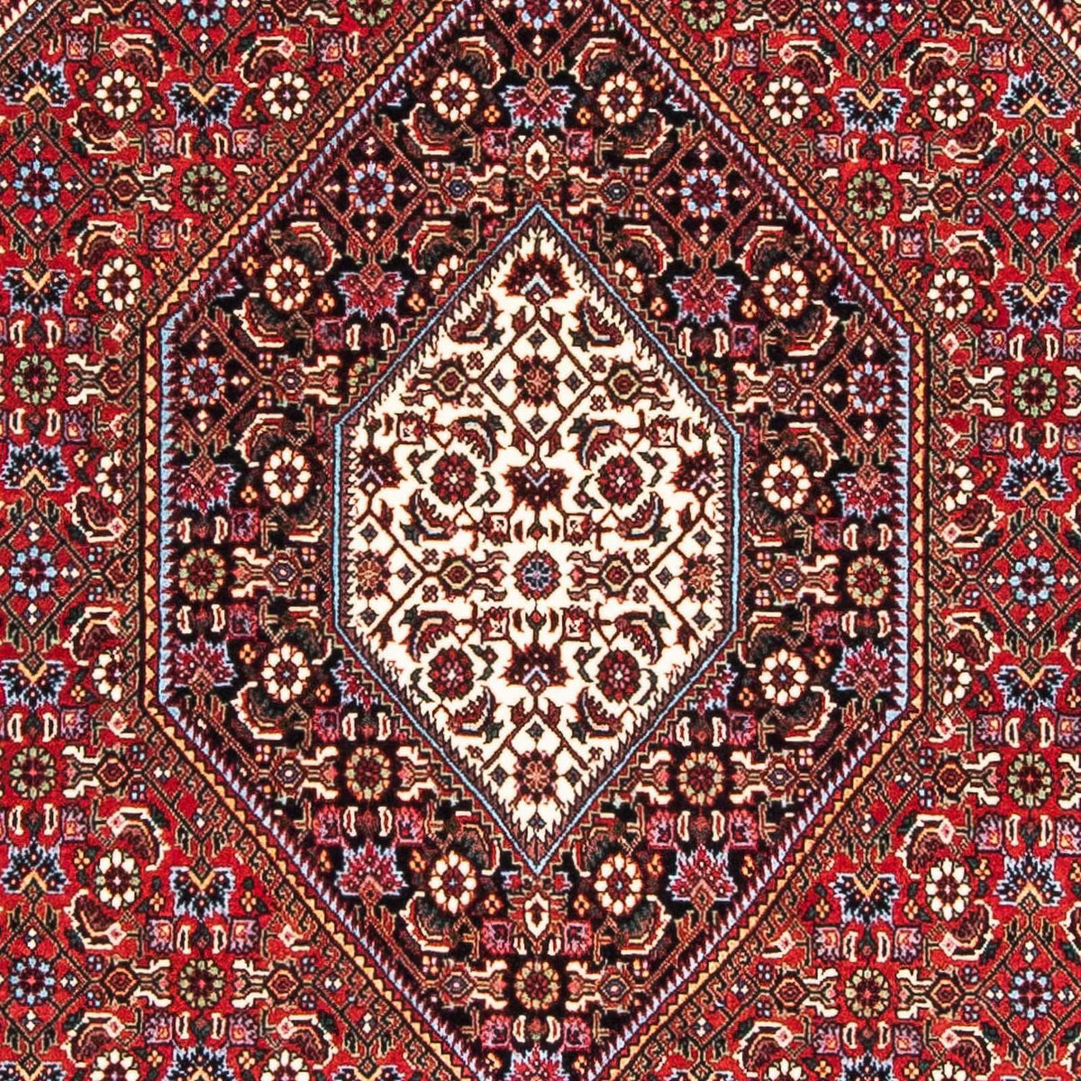 Tappeto Persero - Bidjar - 175 x 111 cm - rosso