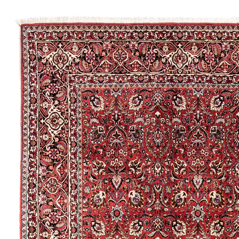 Tappeto Persero - Bidjar - 349 x 252 cm - rosso