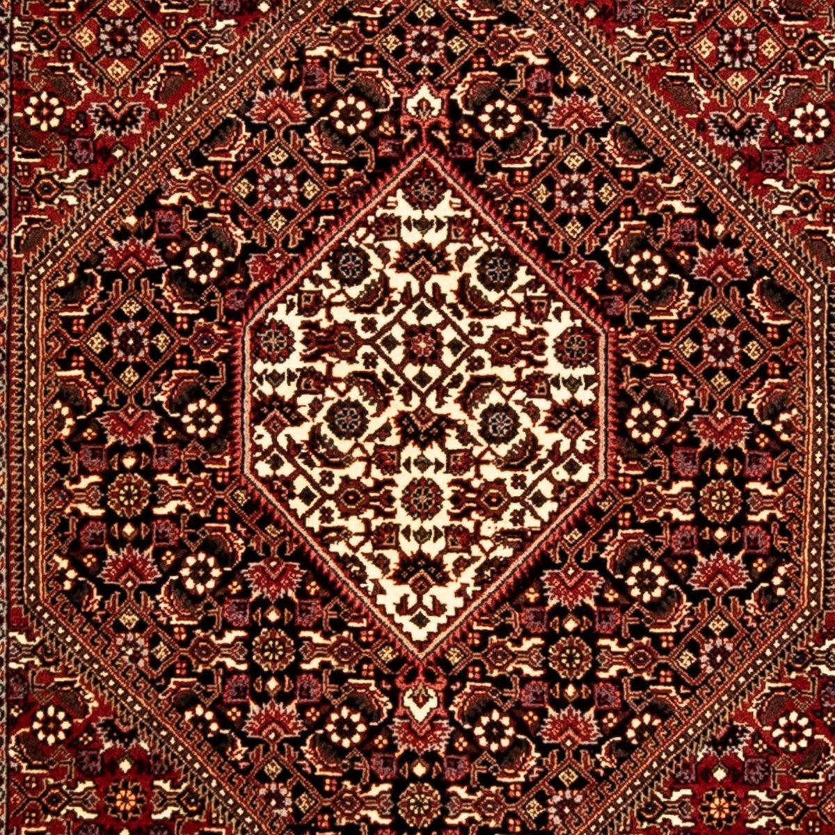 Tappeto corsia Tappeto Persero - Bidjar - 293 x 84 cm - multicolore