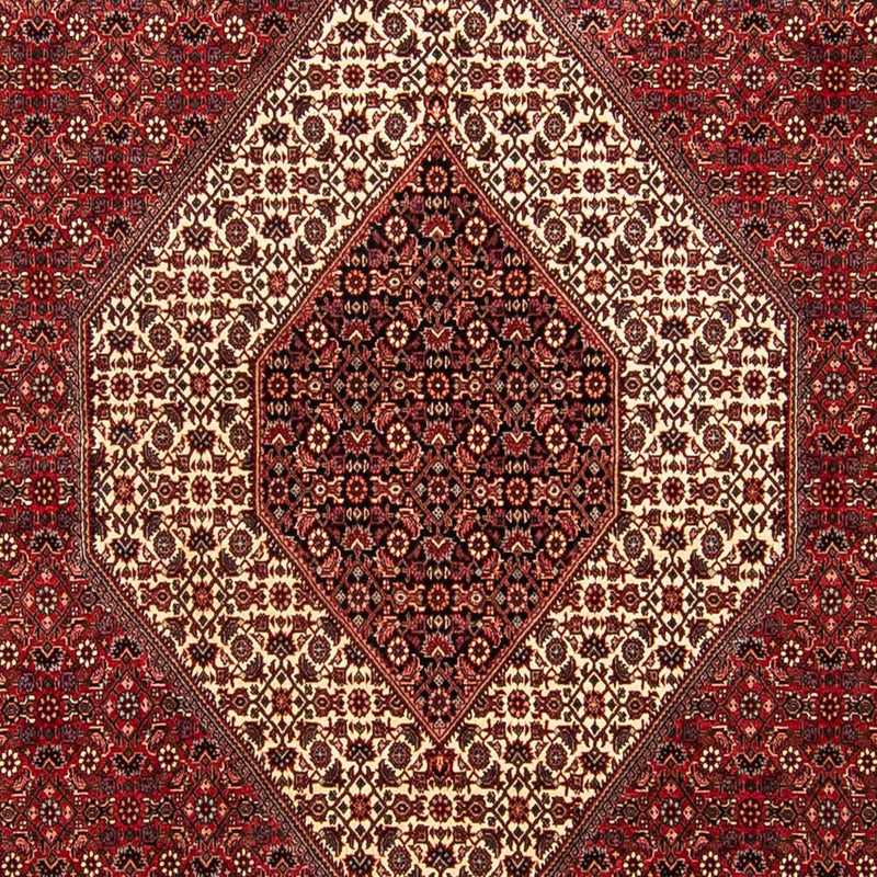 Tappeto Persero - Bidjar - 304 x 251 cm - rosso scuro