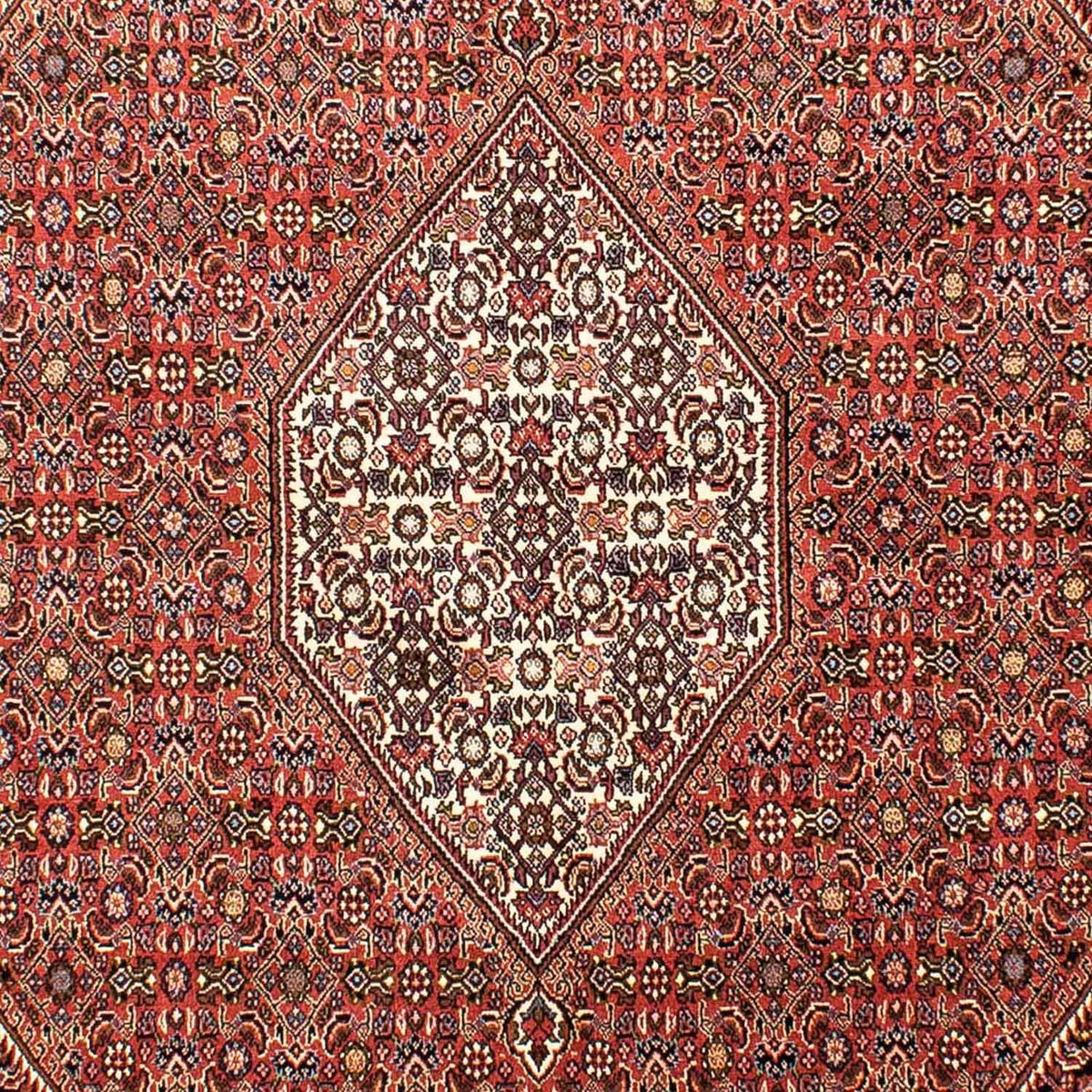 Tappeto Persero - Bidjar - 268 x 165 cm - rosso chiaro