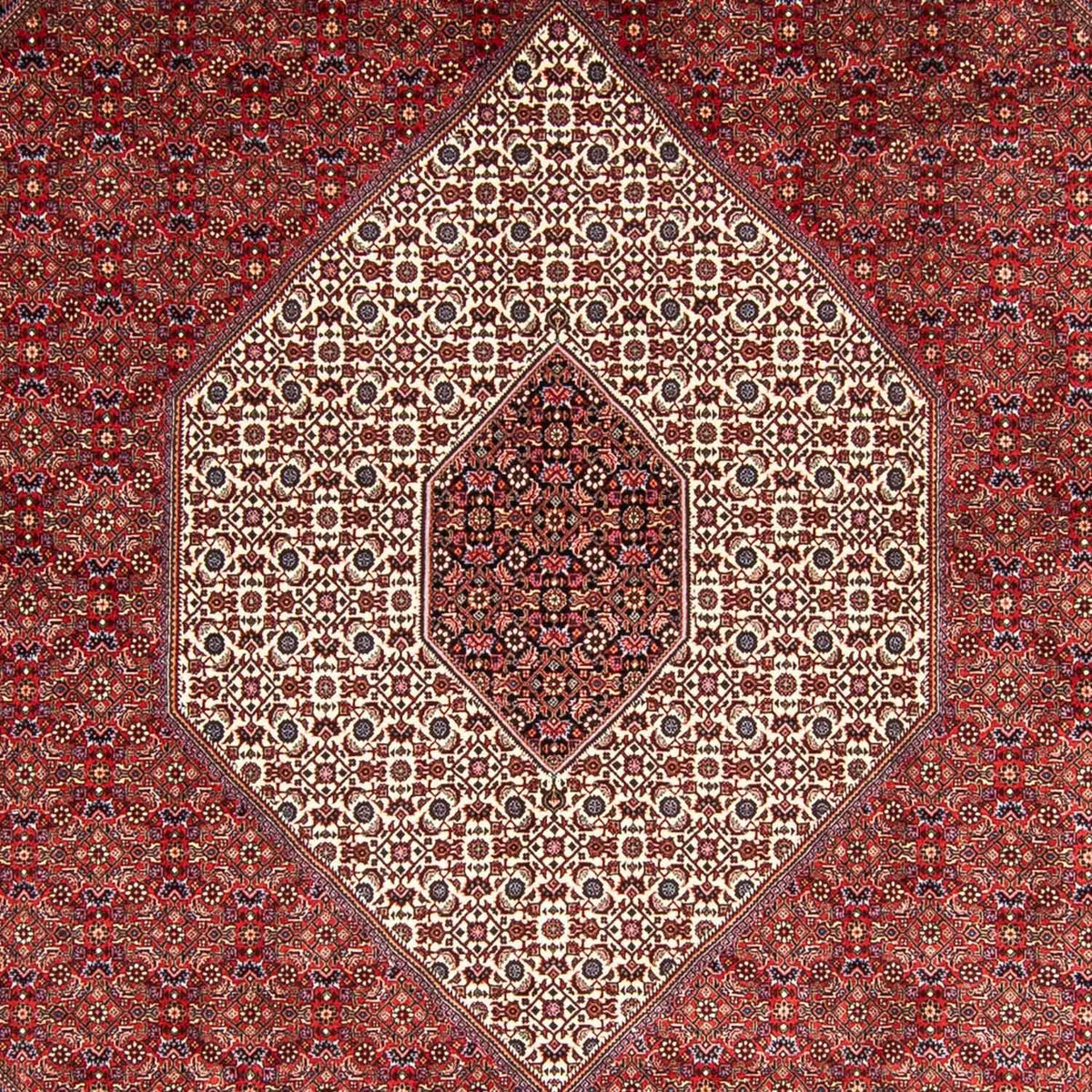 Tappeto Persero - Bidjar - 348 x 252 cm - rosso scuro