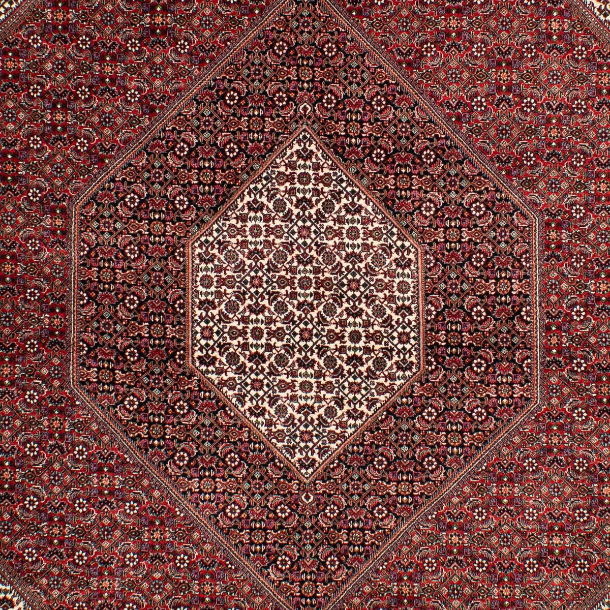 Tappeto Persero - Bidjar - 304 x 204 cm - rosso scuro