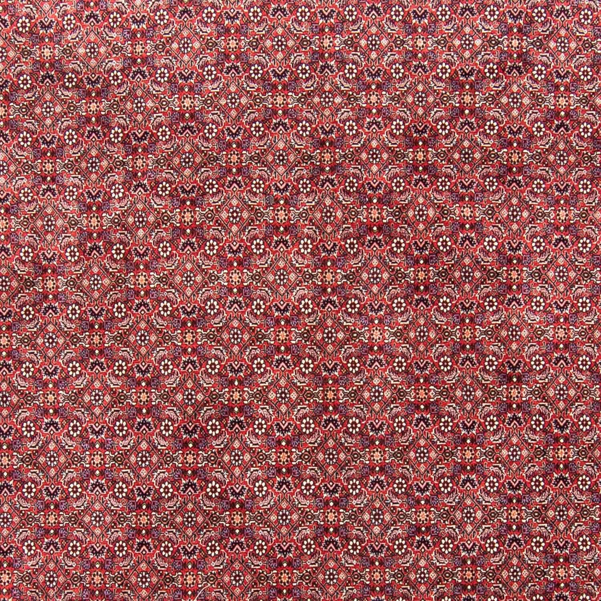 Tappeto Persero - Bidjar - 343 x 251 cm - rosso chiaro