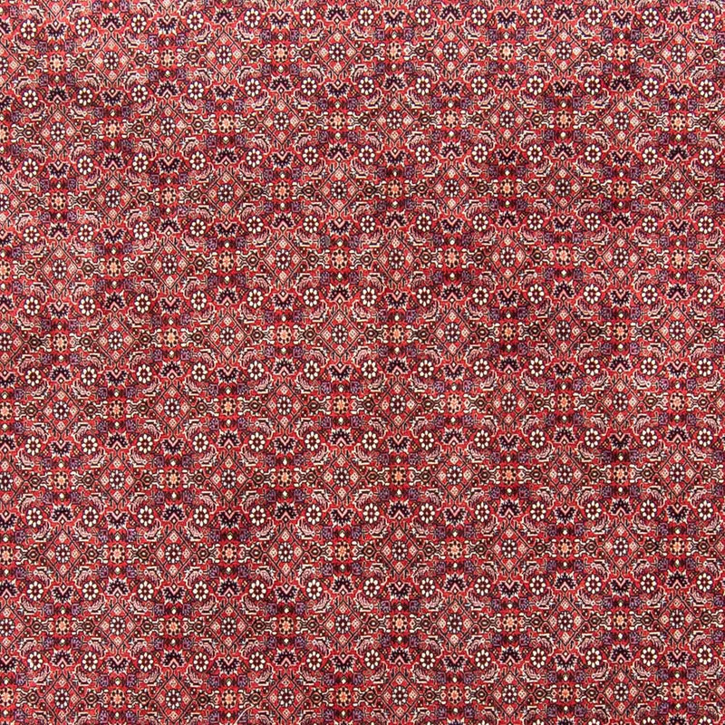 Tappeto Persero - Bidjar - 343 x 251 cm - rosso chiaro