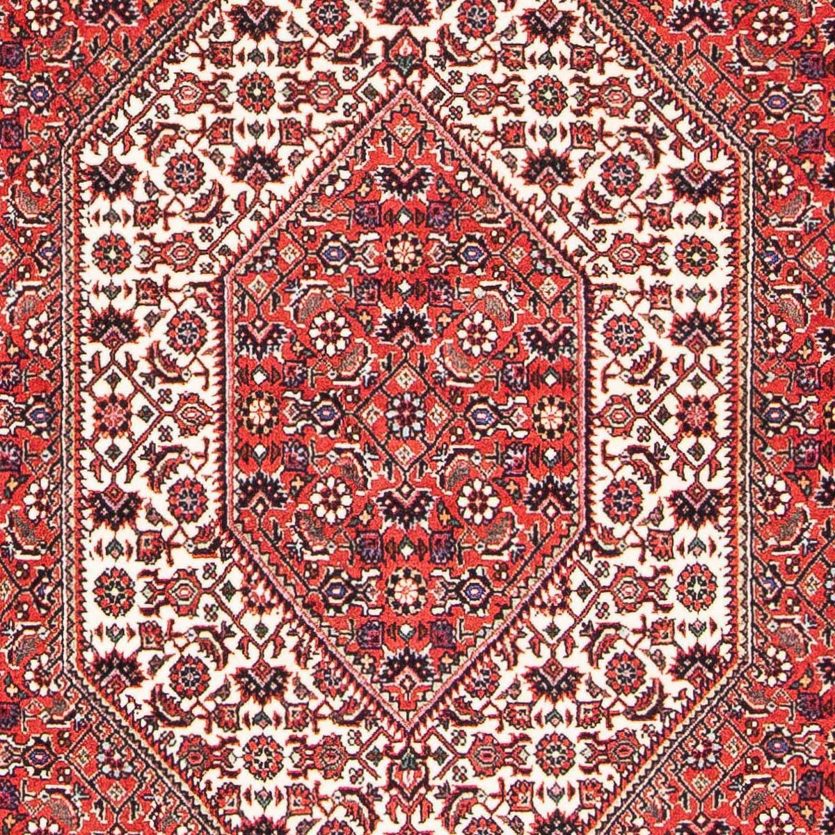 Tappeto Persero - Bidjar - 175 x 108 cm - rosso chiaro