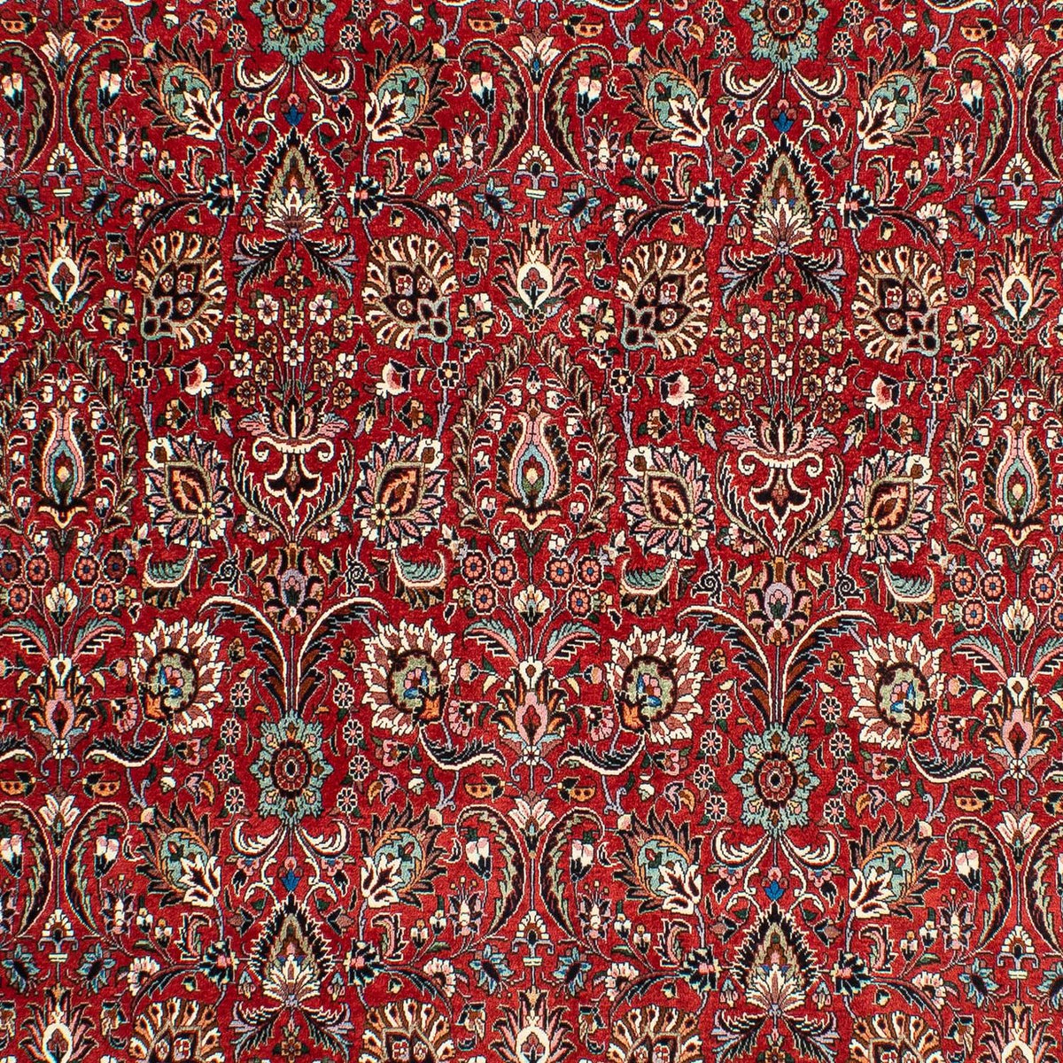 Tappeto Persero - Bidjar - 286 x 202 cm - rosso scuro