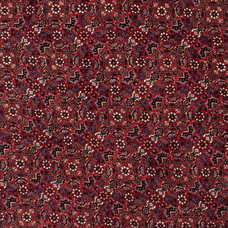 Tappeto Persero - Bidjar rotondo  - 150 x 150 cm - rosso scuro