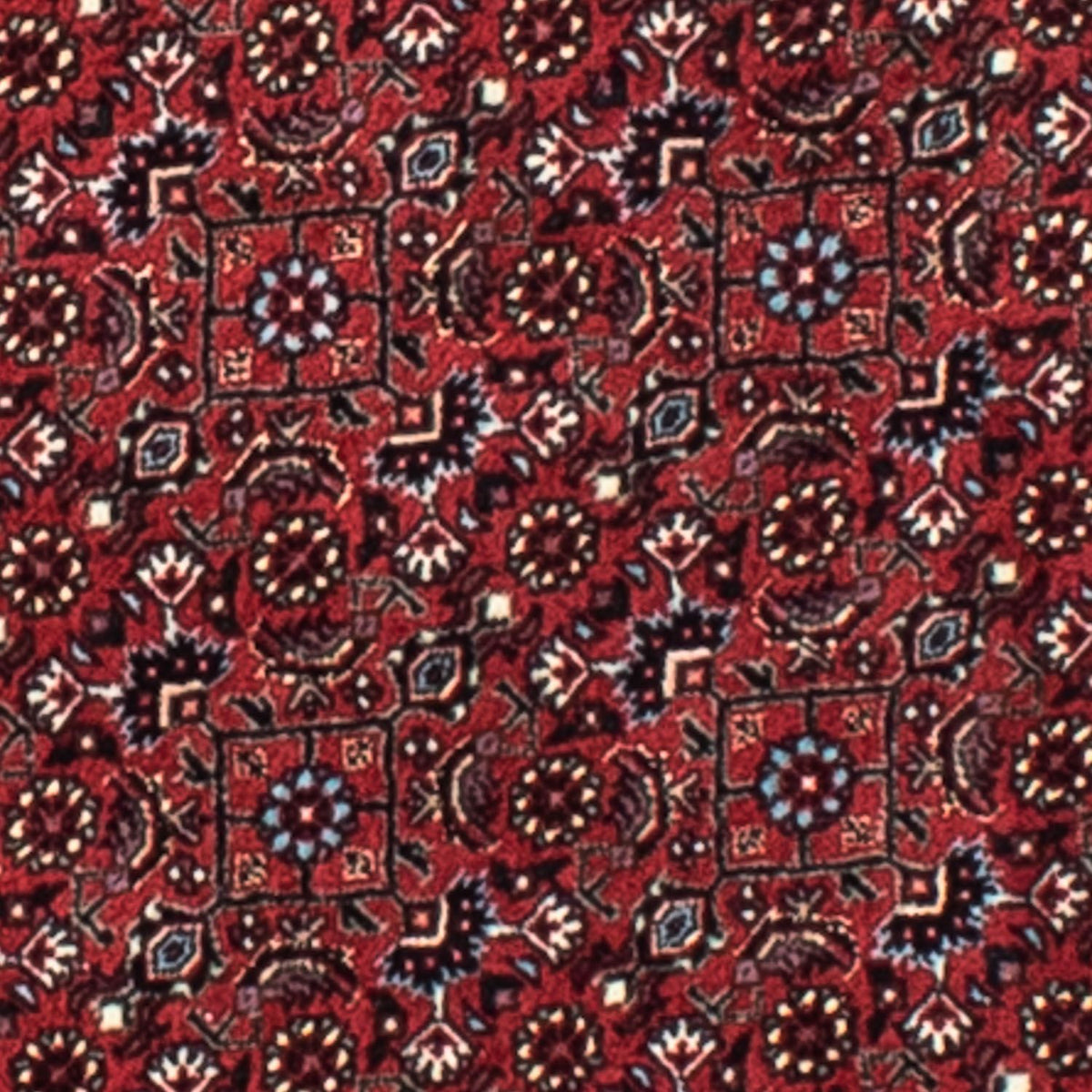 Tappeto Persero - Bidjar rotondo - 105 x 105 cm - rosso scuro