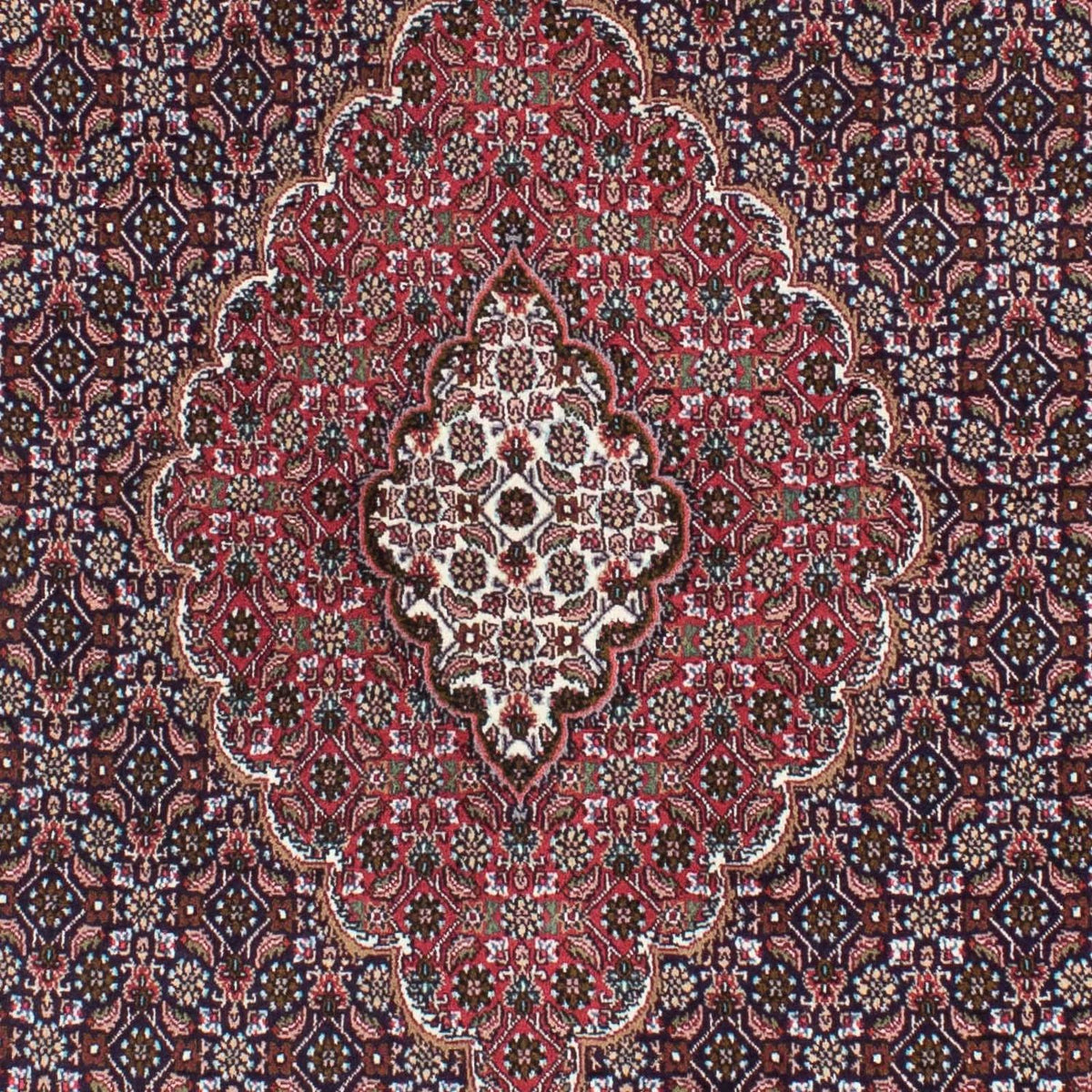 Tappeto Persero - Tabriz - 208 x 146 cm - blu scuro
