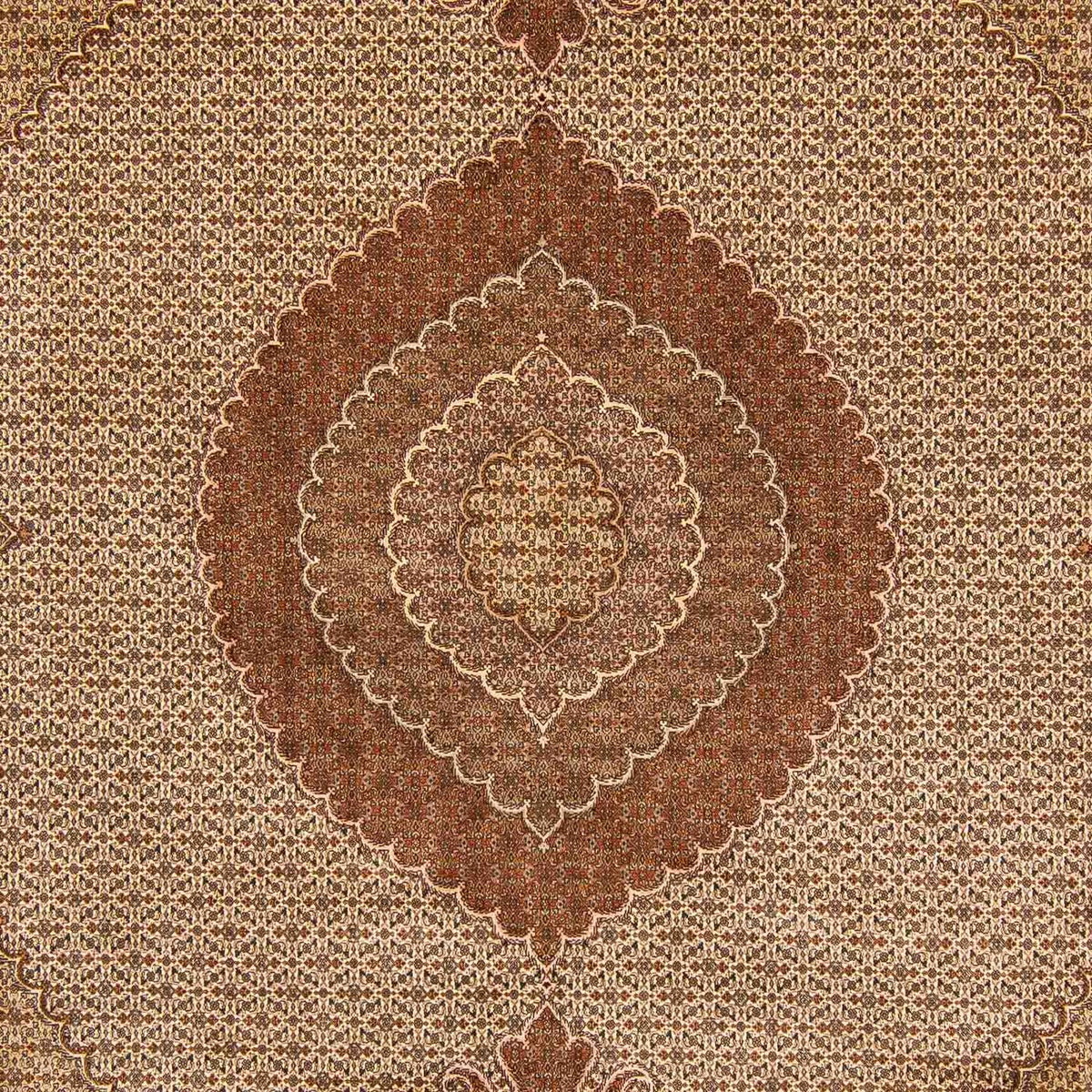 Tappeto Persero - Tabriz - 387 x 305 cm - marrone chiaro