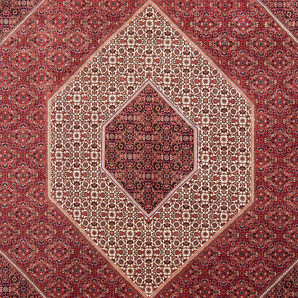 Tappeto Persero - Bidjar - 358 x 253 cm - rosso scuro
