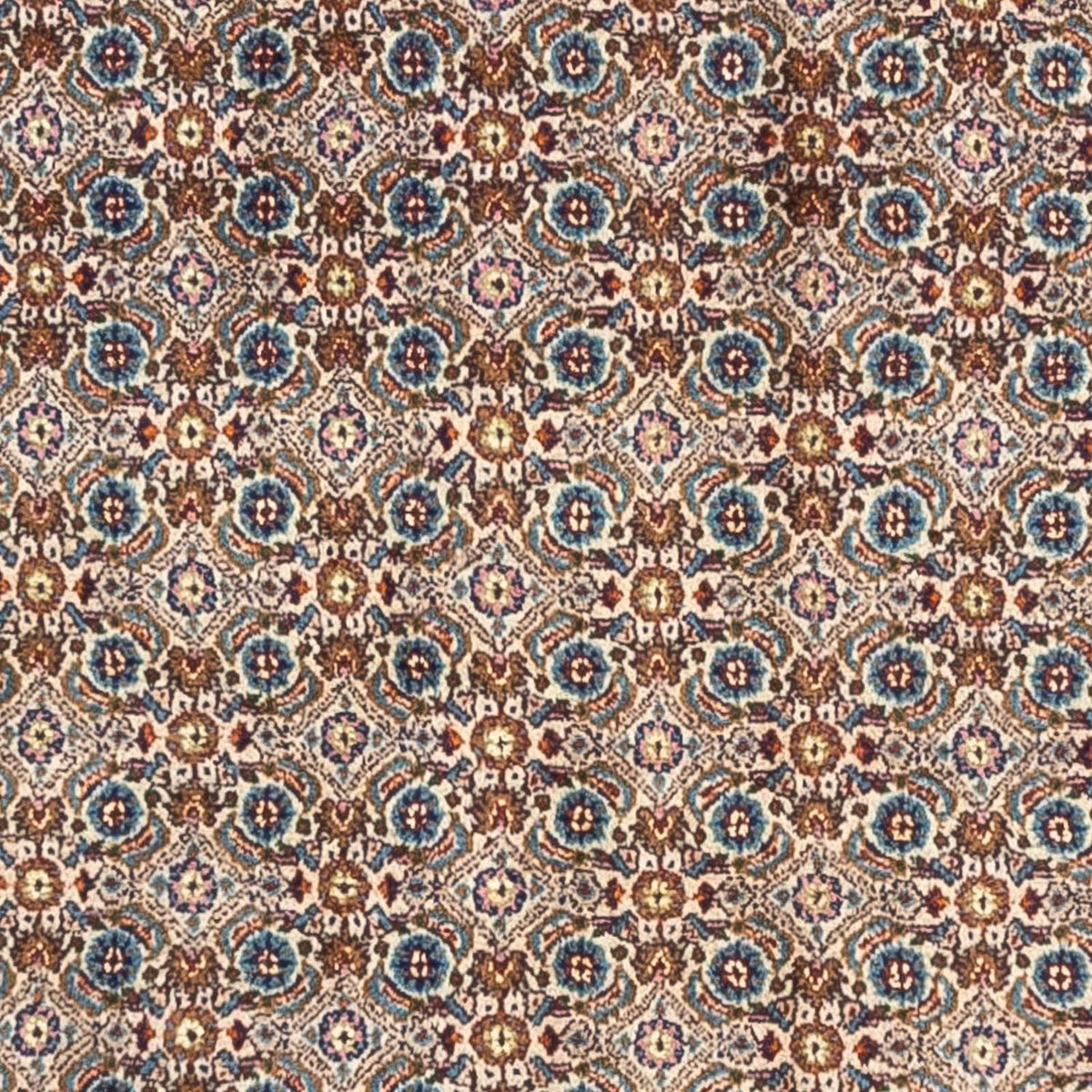 Tappeto Persero - Classico - 240 x 170 cm - beige
